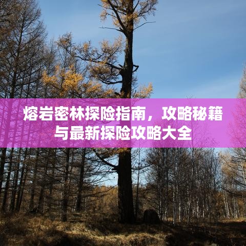 熔岩密林探险指南，攻略秘籍与最新探险攻略大全