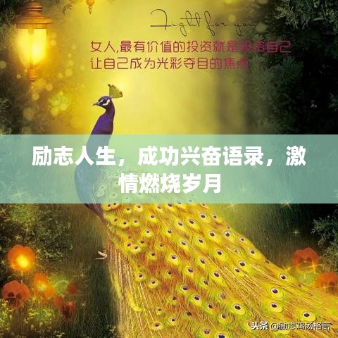 励志人生，成功兴奋语录，激情燃烧岁月