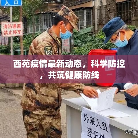 西苑疫情最新动态，科学防控，共筑健康防线