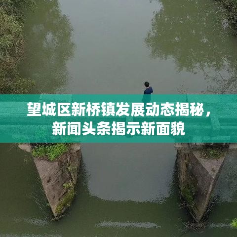 望城区新桥镇发展动态揭秘，新闻头条揭示新面貌