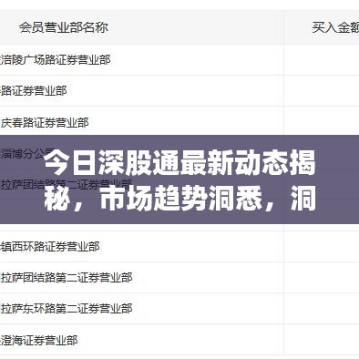 今日深股通最新动态揭秘，市场趋势洞悉，洞悉未来走向