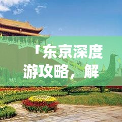 「东京深度游攻略，解锁古都魅力，体验东京风情」