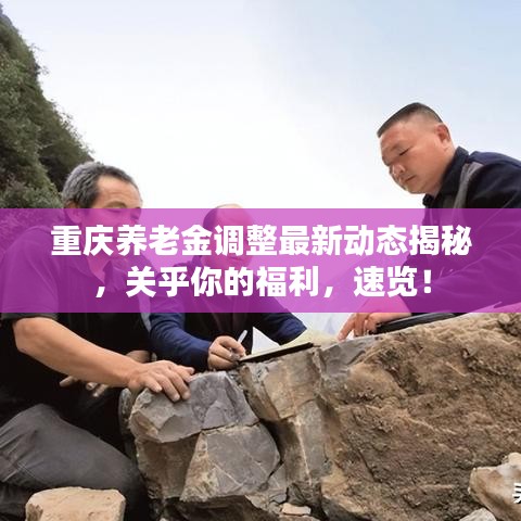 重庆养老金调整最新动态揭秘，关乎你的福利，速览！