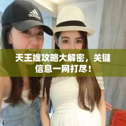 天王嫂攻略大解密，关键信息一网打尽！