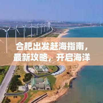 合肥出发赶海指南，最新攻略，开启海洋探险之旅！