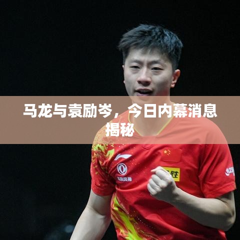 马龙与袁励岑，今日内幕消息揭秘