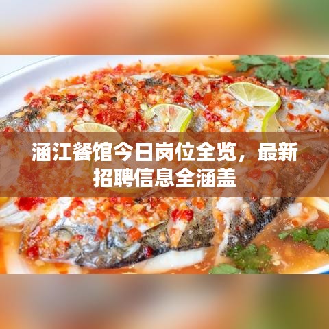 涵江餐馆今日岗位全览，最新招聘信息全涵盖
