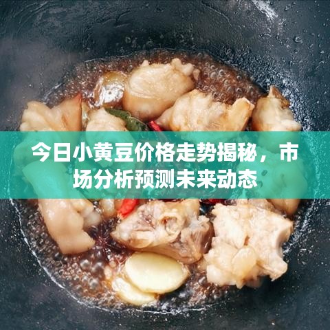 今日小黄豆价格走势揭秘，市场分析预测未来动态