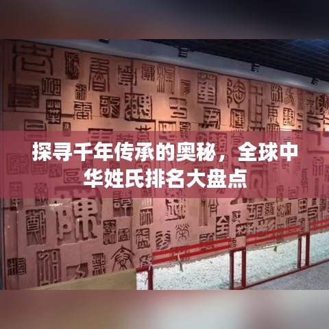 探寻千年传承的奥秘，全球中华姓氏排名大盘点