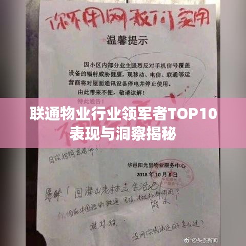 联通物业行业领军者TOP10表现与洞察揭秘