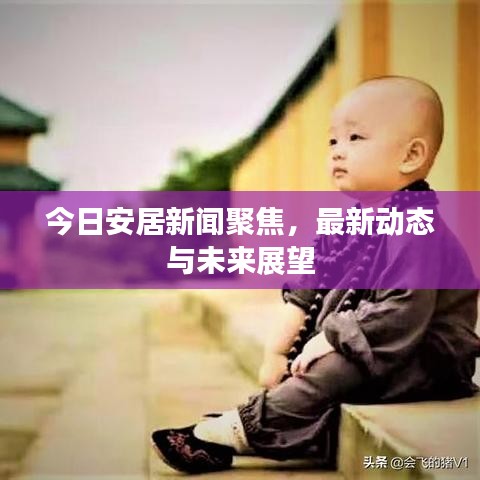 今日安居新闻聚焦，最新动态与未来展望