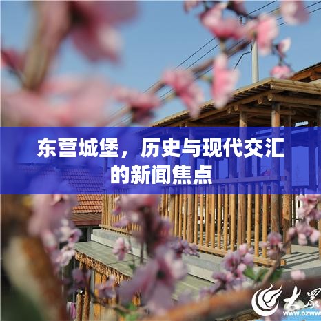 东营城堡，历史与现代交汇的新闻焦点