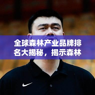 全球森林产业品牌排名大揭秘，揭示森林世界的巅峰力量