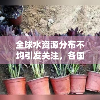 全球水资源分布不均引发关注，各国总水量排名揭秘