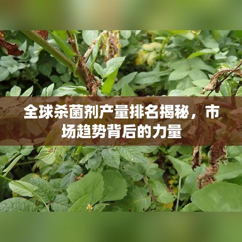 全球杀菌剂产量排名揭秘，市场趋势背后的力量