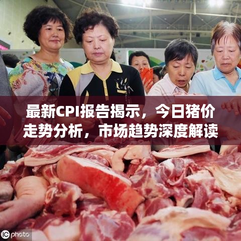 最新CPI报告揭示，今日猪价走势分析，市场趋势深度解读