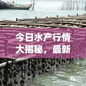 今日水产行情大揭秘，最新价格、市场走势与影响因素全面解析