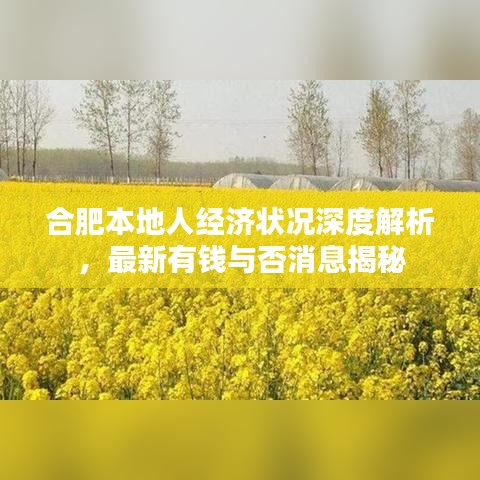 合肥本地人经济状况深度解析，最新有钱与否消息揭秘