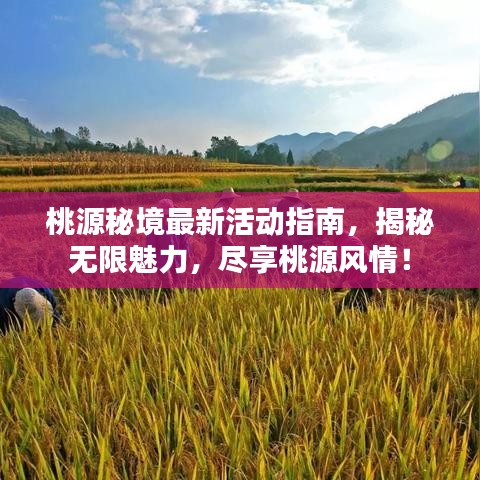 桃源秘境最新活动指南，揭秘无限魅力，尽享桃源风情！