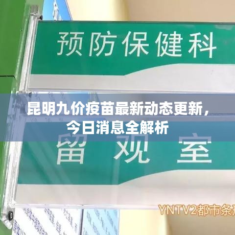 昆明九价疫苗最新动态更新，今日消息全解析