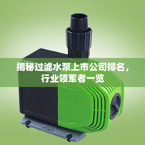 揭秘过滤水泵上市公司排名，行业领军者一览