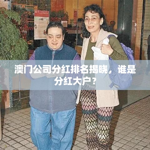 澳门公司分红排名揭晓，谁是分红大户？