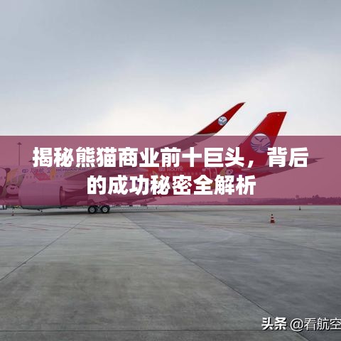 揭秘熊猫商业前十巨头，背后的成功秘密全解析