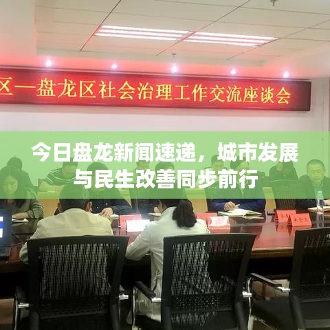 今日盘龙新闻速递，城市发展与民生改善同步前行