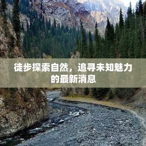 徒步探索自然，追寻未知魅力的最新消息