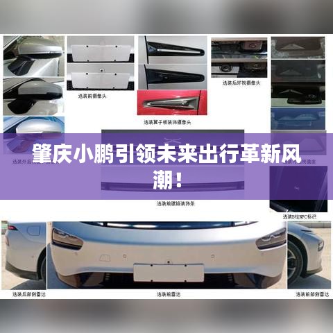 肇庆小鹏引领未来出行革新风潮！