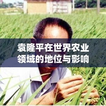 袁隆平在世界农业领域的地位与影响力解析