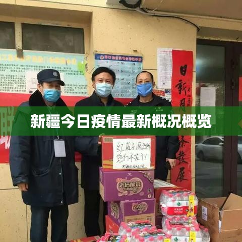 新疆今日疫情最新概况概览