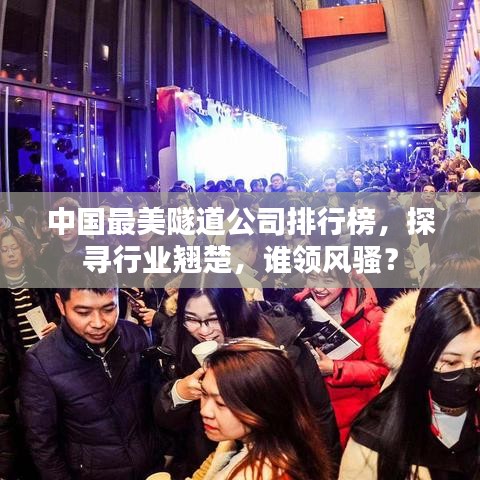 中国最美隧道公司排行榜，探寻行业翘楚，谁领风骚？