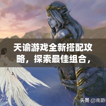 天谕游戏全新搭配攻略，探索最佳组合，助力冒险之旅！