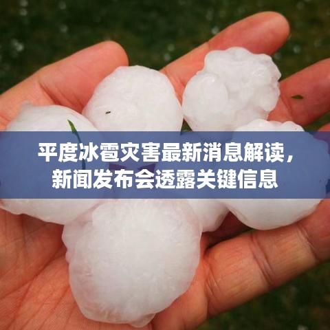 平度冰雹灾害最新消息解读，新闻发布会透露关键信息