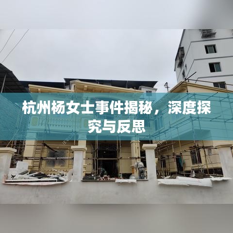 杭州杨女士事件揭秘，深度探究与反思