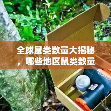 全球鼠类数量大揭秘，哪些地区鼠类数量居榜首？