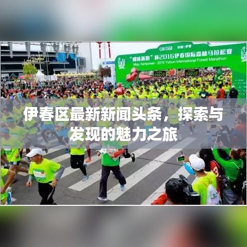 伊春区最新新闻头条，探索与发现的魅力之旅