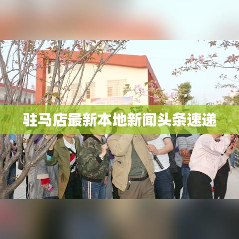 驻马店最新本地新闻头条速递