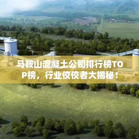 马鞍山混凝土公司排行榜TOP榜，行业佼佼者大揭秘！