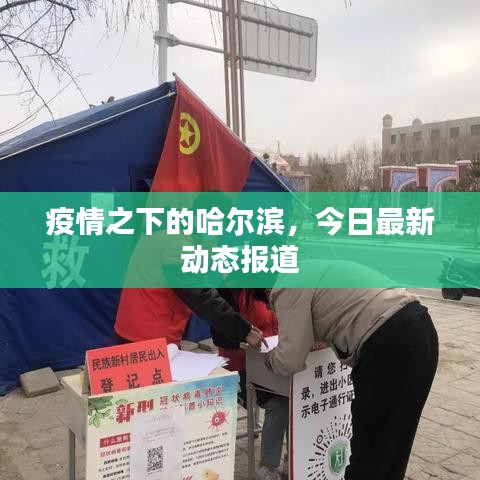 疫情之下的哈尔滨，今日最新动态报道