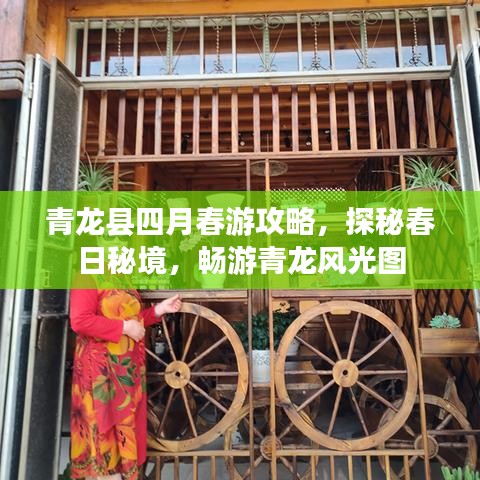 青龙县四月春游攻略，探秘春日秘境，畅游青龙风光图