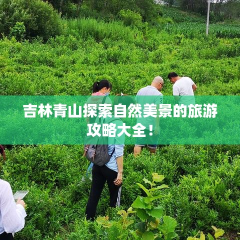 吉林青山探索自然美景的旅游攻略大全！