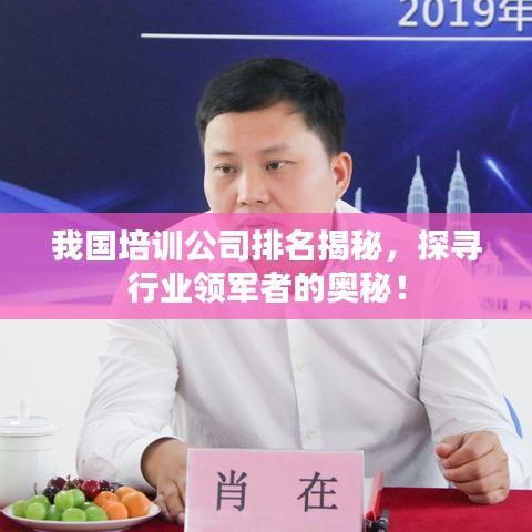 我国培训公司排名揭秘，探寻行业领军者的奥秘！