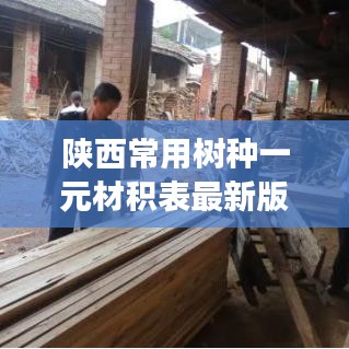陕西常用树种一元材积表最新版发布，助力林业发展飞跃前行