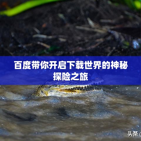 百度带你开启下载世界的神秘探险之旅