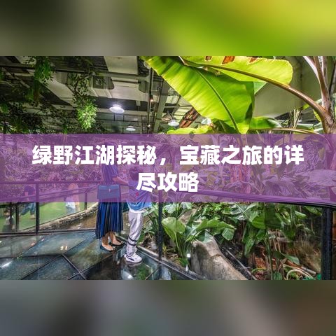 绿野江湖探秘，宝藏之旅的详尽攻略