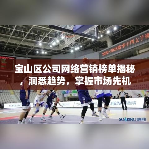 宝山区公司网络营销榜单揭秘，洞悉趋势，掌握市场先机