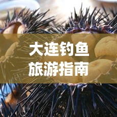 大连钓鱼旅游指南，探索最佳垂钓胜地，畅享绝美旅游体验