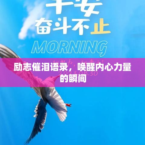 励志催泪语录，唤醒内心力量的瞬间